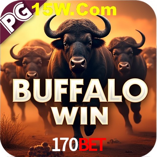 170bet.com